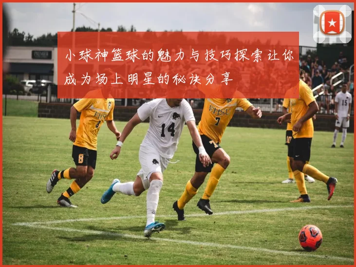 小球神篮球的魅力与技巧探索让你成为场上明星的秘诀分享